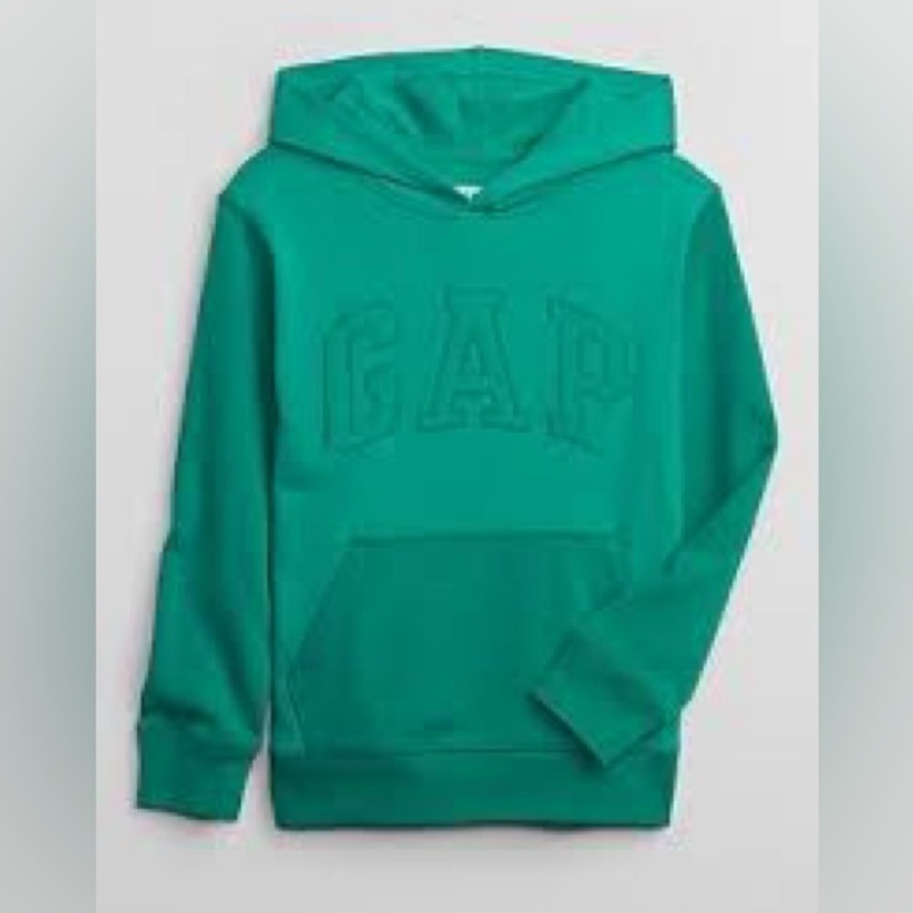 Gap kids Jade Fountain colorblock Hoodie and Pants size xs